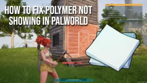 Fix Polymer Not Showing